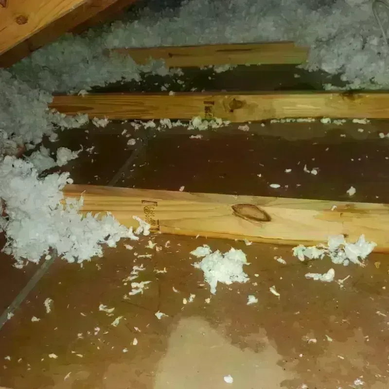 Attic Water Damage in Bucksport, ME